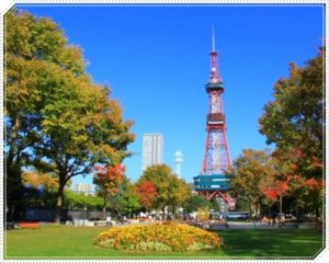 オリオン座流星群2017の札幌の見頃はいつ?穴場スポットや時間と方角まとめ