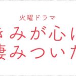 紅の豚 ジーナの賭けが 成功した 意見は ウソ かもしれない3つの理由