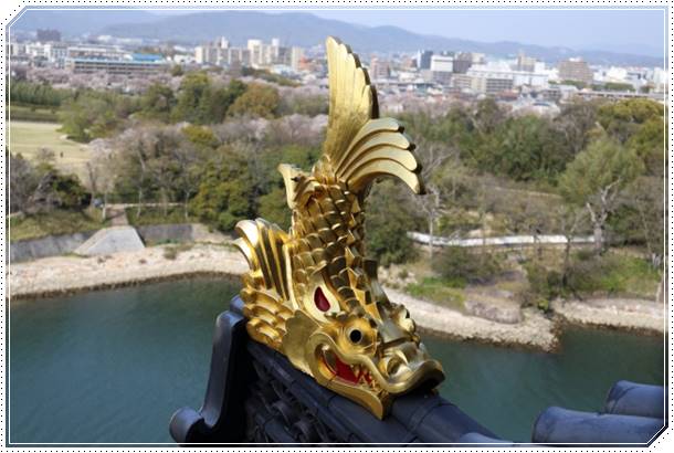 ペルセウス座流星群2018を名古屋で観測!穴場スポットのおすすめはどこ?