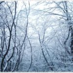 社会人の年末年始の休暇はいつから開始？2018年の冬休みが気になる