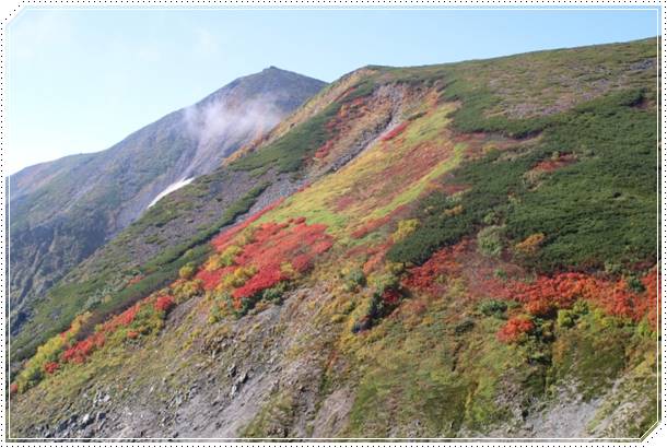 大雪山の紅葉2018の見頃の時期はいつ?おすすめ穴場スポットまとめ!