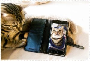 猫なで声で話す女性心理が恐ろしい!気持ち悪い甘えた声の印象を紹介