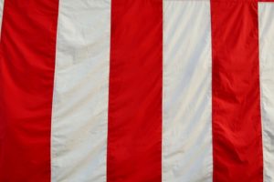 山1グランプリの歴代優勝者まとめ！大新年会の王者一覧【ガキ使】